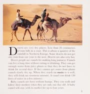 Tapa de Desert (Animal Homes)
