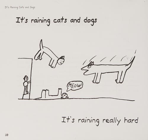 Tapa de It's raining cats and dogs