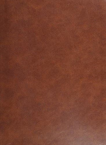 Tapa de Single-Column Wide-Margin Bible