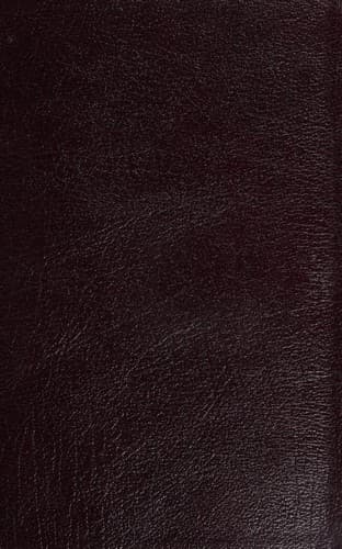 Tapa de Bible