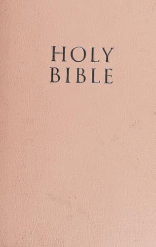 Tapa de Holy Bible
