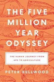 Tapa de Five Million Year Odyssey