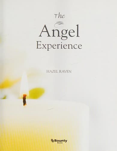 Tapa de The angel experience