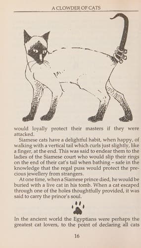 Tapa de A clowder of cats