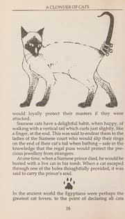Tapa de A clowder of cats