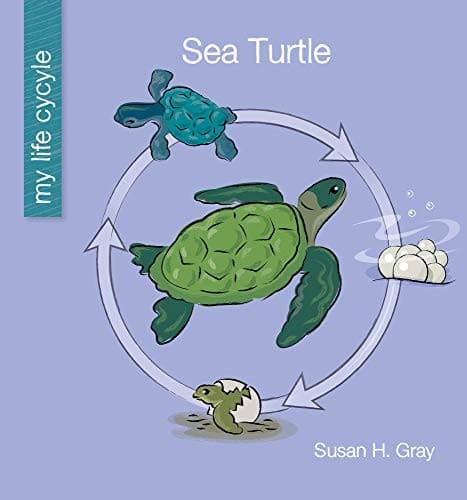 Tapa de Sea Turtle