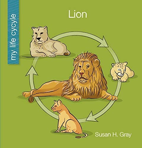Tapa de Lion