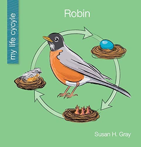 Tapa de Robin