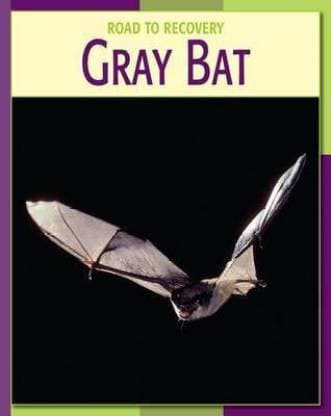Tapa de Gray Bat