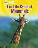 Tapa de Life Cycle of Mammals