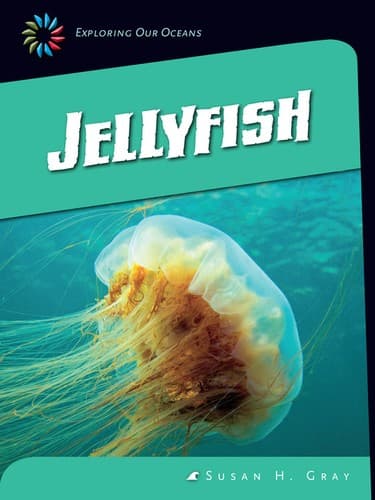Tapa de Jellyfish