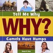Tapa de Camels have humps