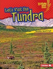 Tapa de Let's Visit the Tundra