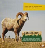 Tapa de We're Going Big-Game Hunting