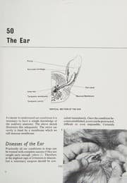 Tapa de The TV Vet dog book