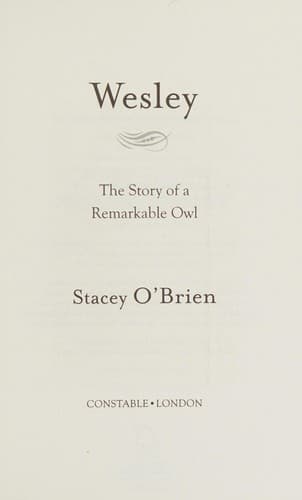 Tapa de Wesley