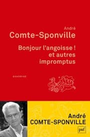 Tapa de Bonjour l'angoisse ! et autres impromptus