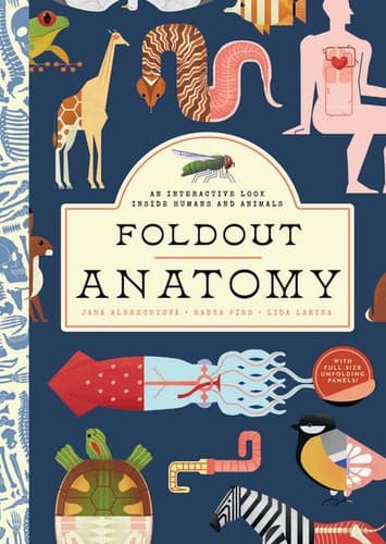 Tapa de Foldout Anatomy