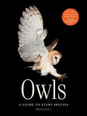Tapa de Owls