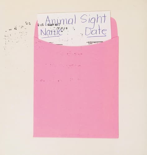 Tapa de Animal Sight =