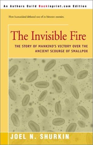 Tapa de The invisible fire