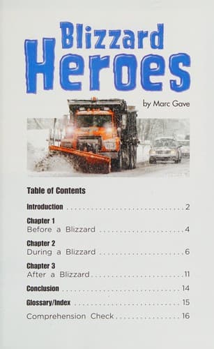 Tapa de Blizzard heroes
