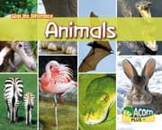 Tapa de Can you spot the difference? animals