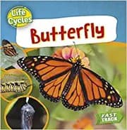 Tapa de Butterfly