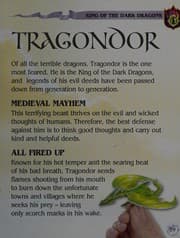 Tapa de Micro flying dragons