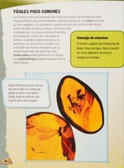 Tapa de Fósiles