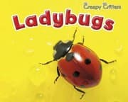 Tapa de Ladybugs