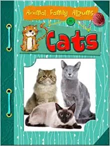 Tapa de Cats