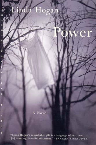 Tapa de Power