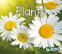 Tapa de Plants