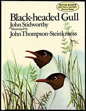 Tapa de Black-headed gull