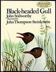 Tapa de Black-headed gull