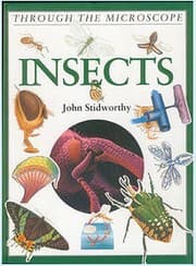 Tapa de Insects