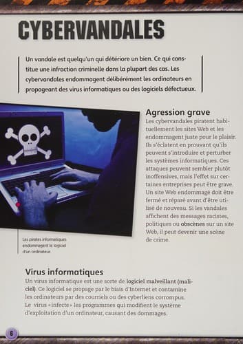 Tapa de Cybercrimes