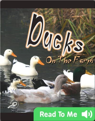 Tapa de Ducks on the Farm