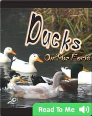 Tapa de Ducks on the Farm