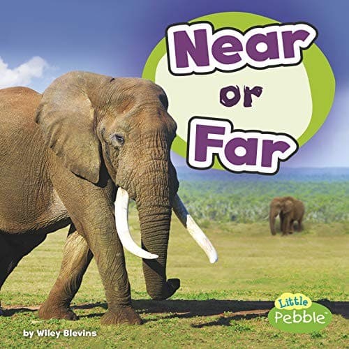 Tapa de Near or Far