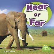 Tapa de Near or Far