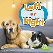 Tapa de Left or Right