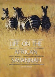 Tapa de Life on the African savannah