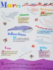 Tapa de Animales de la selva, mares y montañas con pegatinas