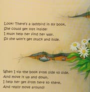 Tapa de There's a ladybird in my book