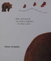 Tapa de Finding a Mate (First Discovery)
