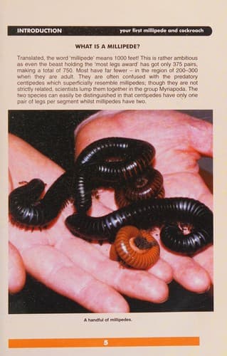 Tapa de Your First Millipede and Cockroach (Your First Pet)