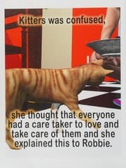 Tapa de Kitters finds a friend