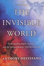 Tapa de The invisible world